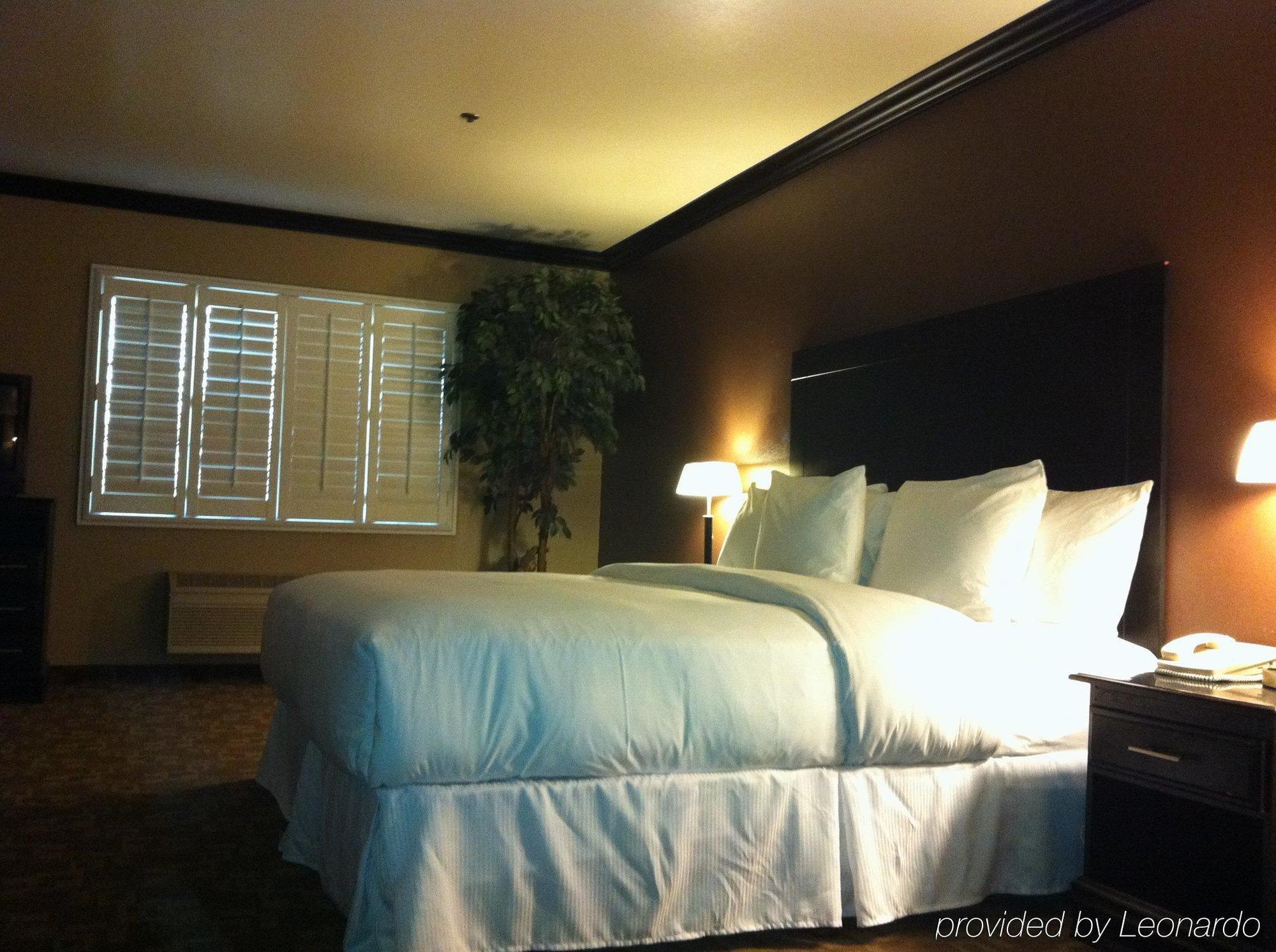 לוס אנג'לס Blvd Hotel & Suites - Walking Distance To Hollywood Walk Of Fame (Adults Only) חדר תמונה