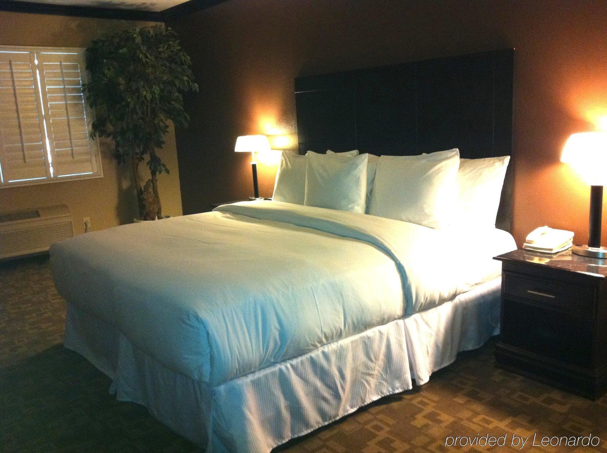 לוס אנג'לס Blvd Hotel & Suites - Walking Distance To Hollywood Walk Of Fame (Adults Only) חדר תמונה